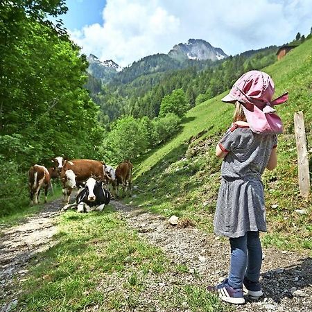 Bed And Breakfast - Die Aelplersuit Fuer Backpackers Im Berghuesli Linthal Eksteriør billede