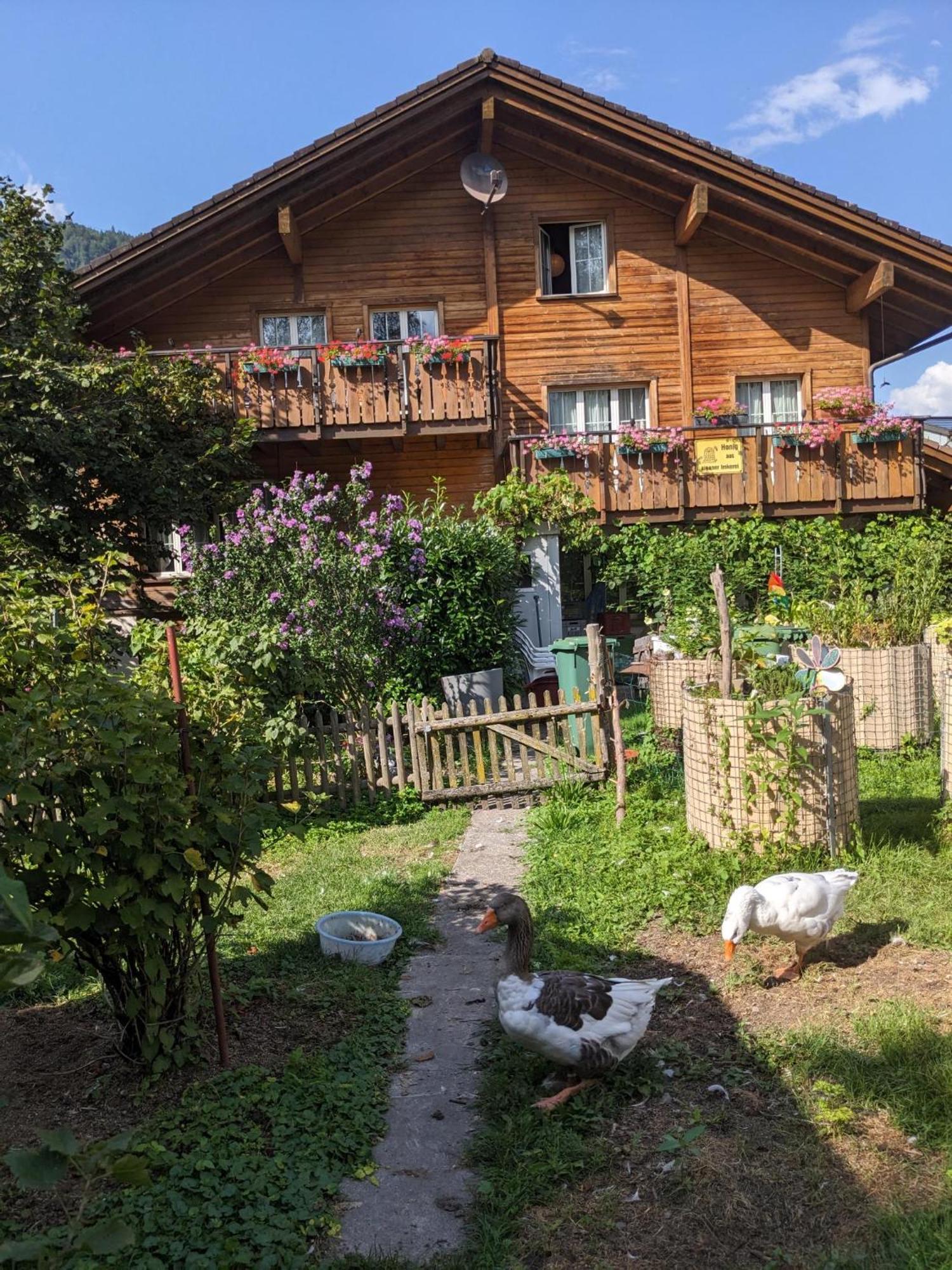 Bed And Breakfast - Die Aelplersuit Fuer Backpackers Im Berghuesli Linthal Eksteriør billede